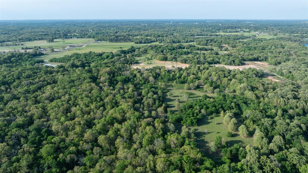 951 Southeast Se Loop Athens, TX 75751 - Photo 15 of 34 an aerial view of forest