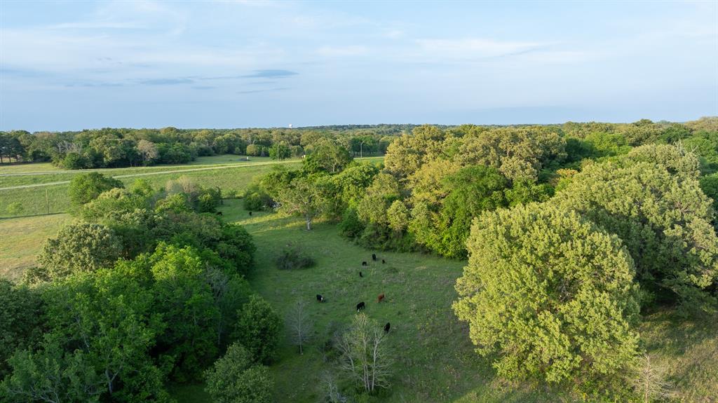 951 Southeast Se Loop Athens, TX 75751 - Photo 22 of 34 a view of a field with an ocean