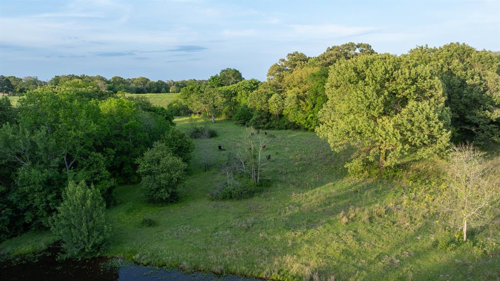 951 Southeast Se Loop Athens, TX 75751 - Photo 23 of 34 a view of a lush green space with sea