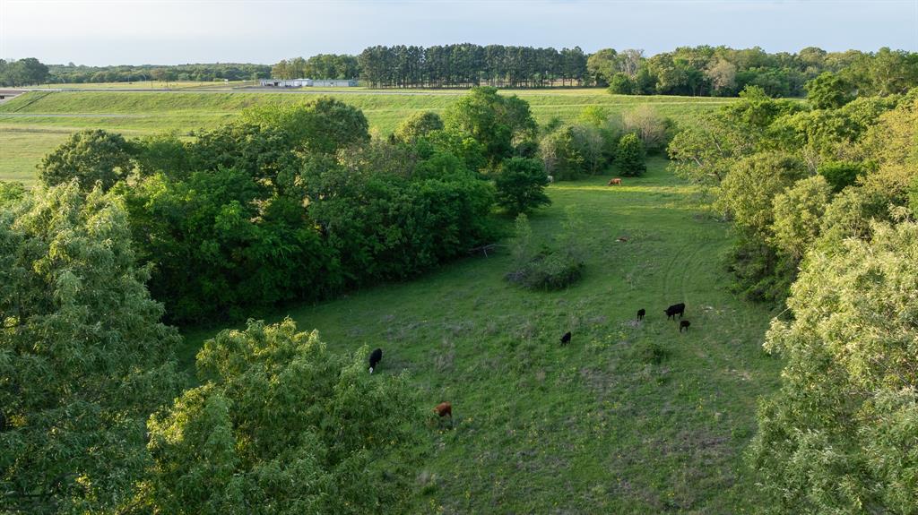 951 Southeast Se Loop Athens, TX 75751 - Photo 25 of 34 a view of a green field with a lake