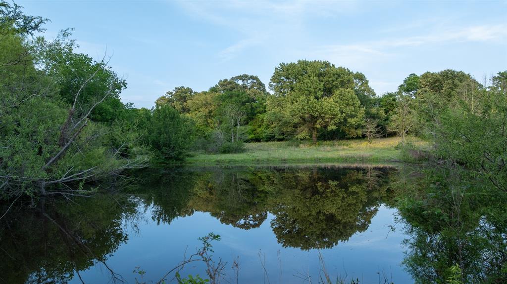 951 Southeast Se Loop Athens, TX 75751 - Photo 26 of 34 a view of a lake with a forest
