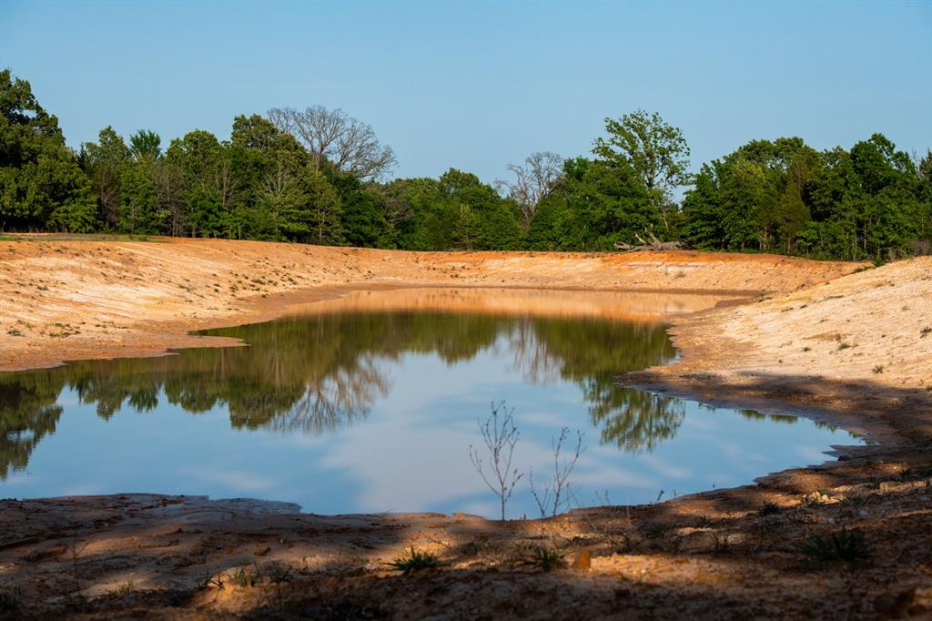 951 Southeast Se Loop Athens, TX 75751 - Photo 31 of 34 a view of a lake from a yard