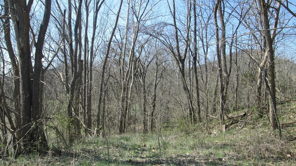1 Farris Branch Road Wallingford, KY 41093 - Photo 3 of 5 Listing Photo