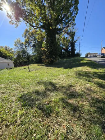 a view of outdoor space and yard