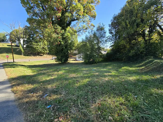 a view of a trees with a yard