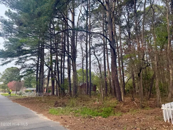 $17,000 | 307 Viverette Avenue, Battleboro, NC 27809