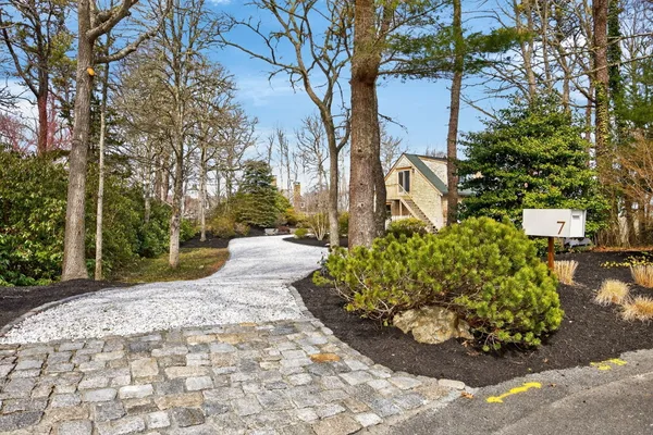 a view of a garden with large trees
