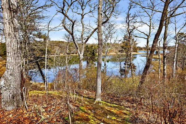 $2,995,000 | 7 Little Cove Lane, Orleans, MA 02653