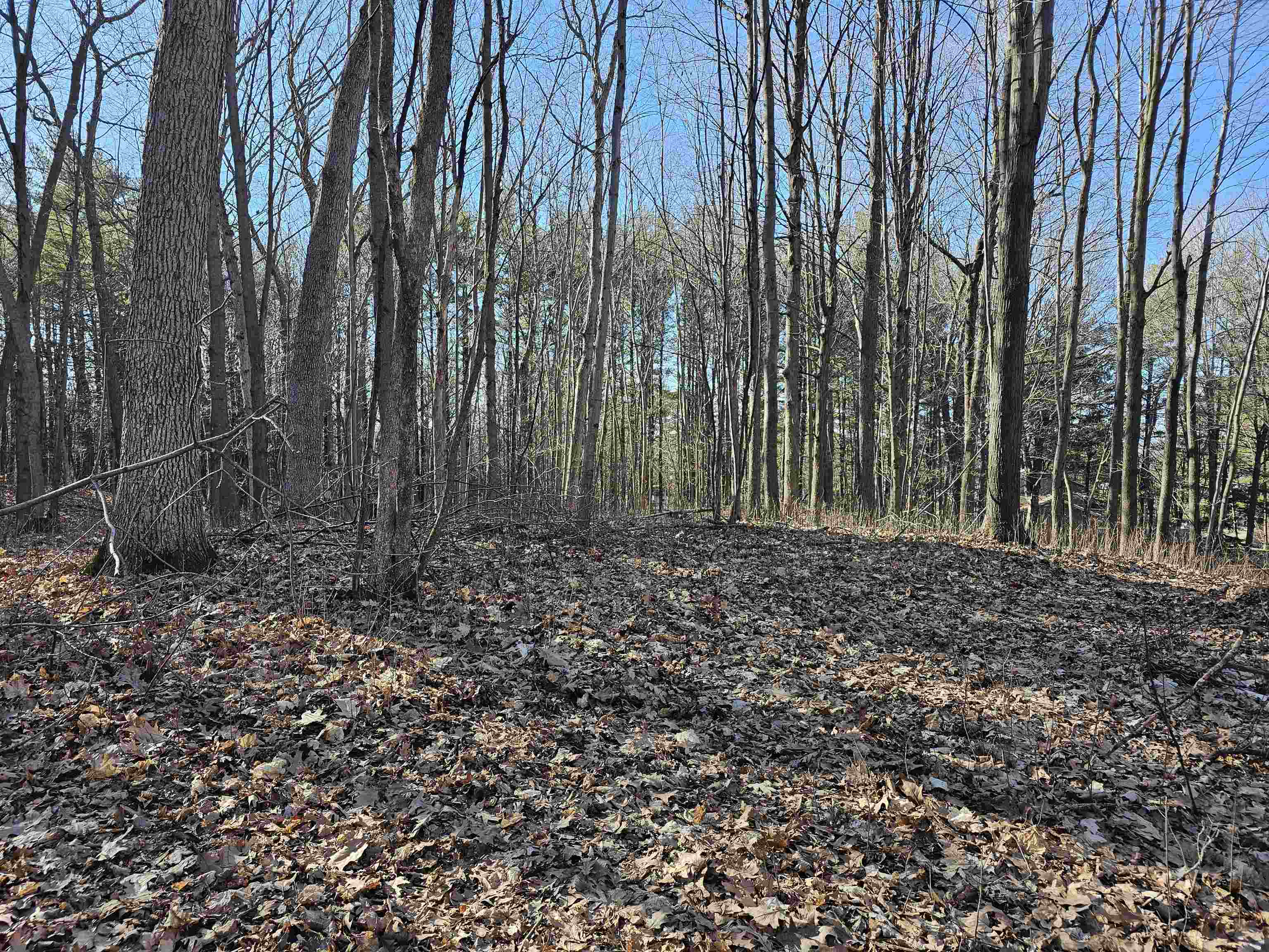 Ridgeway Heights Manawa, WI 54949 - Photo 1 of 1