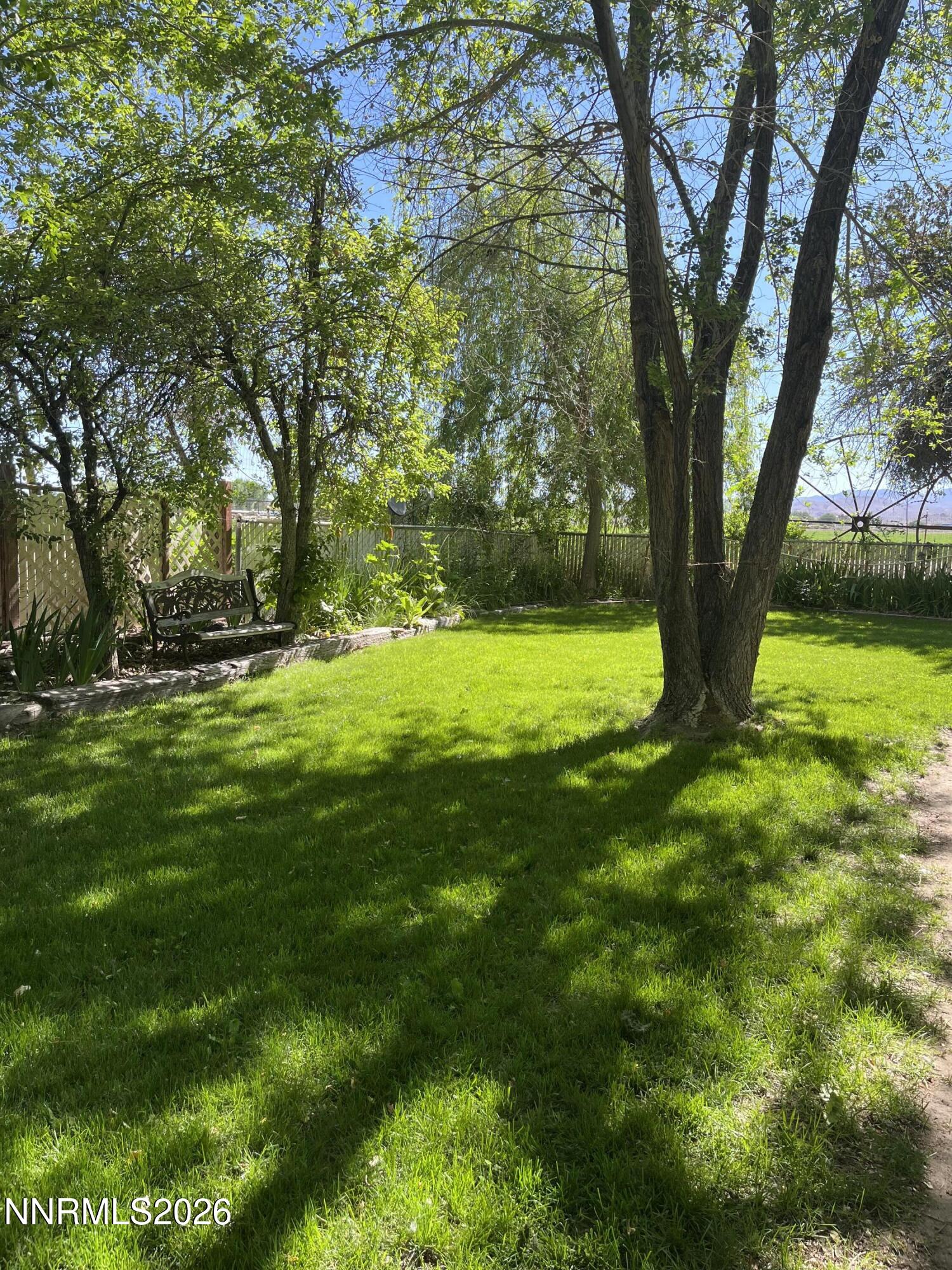 834 West Bridge Street Yerington, NV 89447 - Photo 7 of 21 IMG_9029