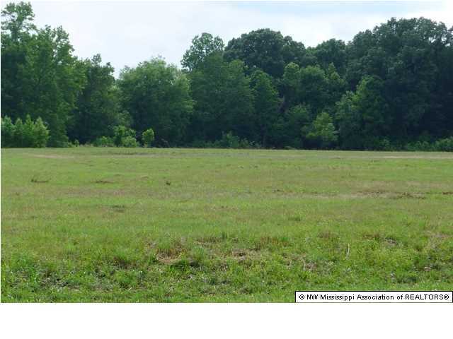 80 North Red Banks Road Red Banks, MS 38635 - Photo 5 of 7 Additional Photo