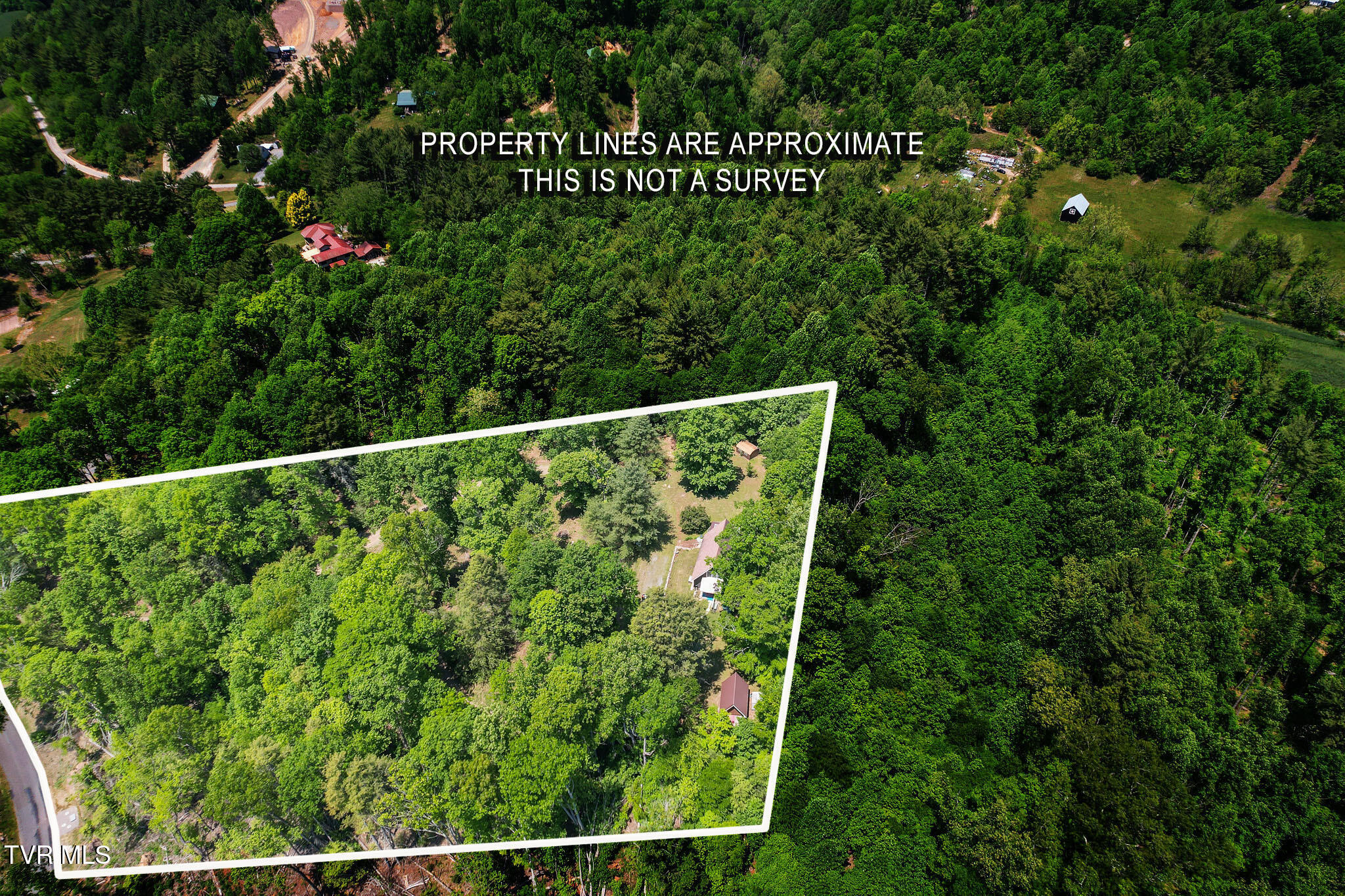 929 Noah Snyder Road Mountain City, TN 37683 - Photo 8 of 46 DJI_0012b-2