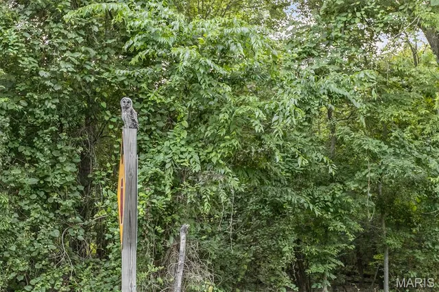 $45,000 | 963 Pohlman Slough Road, Brussels, IL 62013