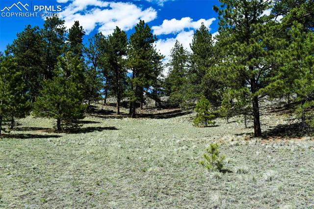 Lot 60 B Road Guffey, CO 80820 - Photo 24 of 28