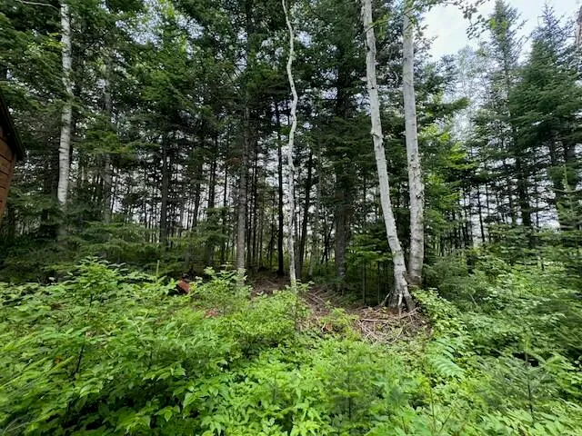 $199,000 | Lot #3 Pleine Road, St. Agatha, ME 04772