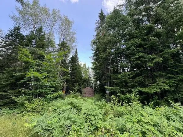 $199,000 | Lot #3 Pleine Road, St. Agatha, ME 04772
