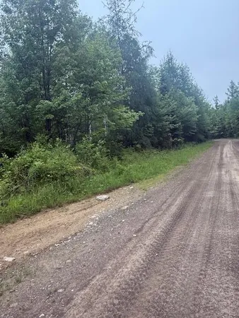 $199,000 | Lot #3 Pleine Road, St. Agatha, ME 04772