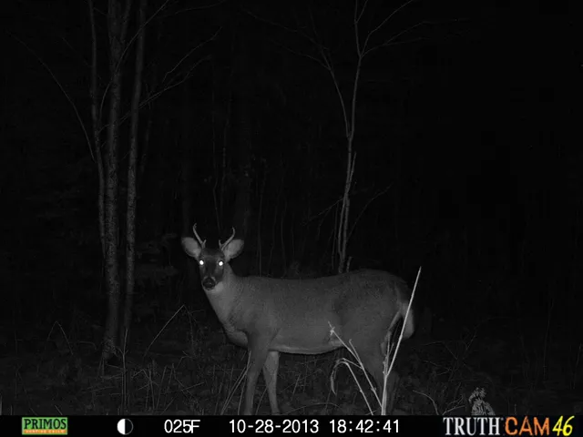 $199,000 | Lot #3 Pleine Road, St. Agatha, ME 04772