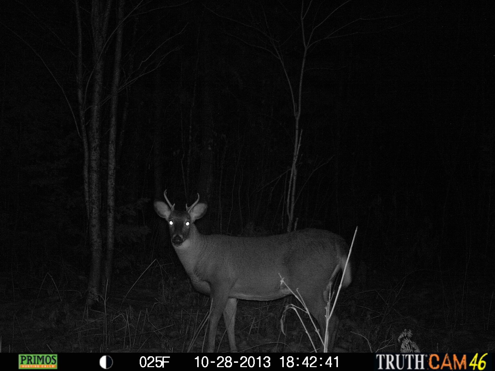 Lot #3 Pleine Road St. Agatha, ME 04772 - Photo 27 of 32 PRMS0035