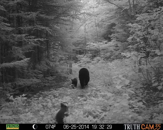 $199,000 | Lot #3 Pleine Road, St. Agatha, ME 04772