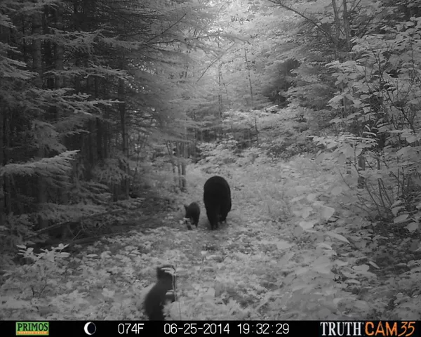 $199,000 | Lot #3 Pleine Road, St. Agatha, ME 04772