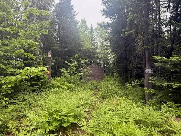 $199,000 | Lot #3 Pleine Road, St. Agatha, ME 04772