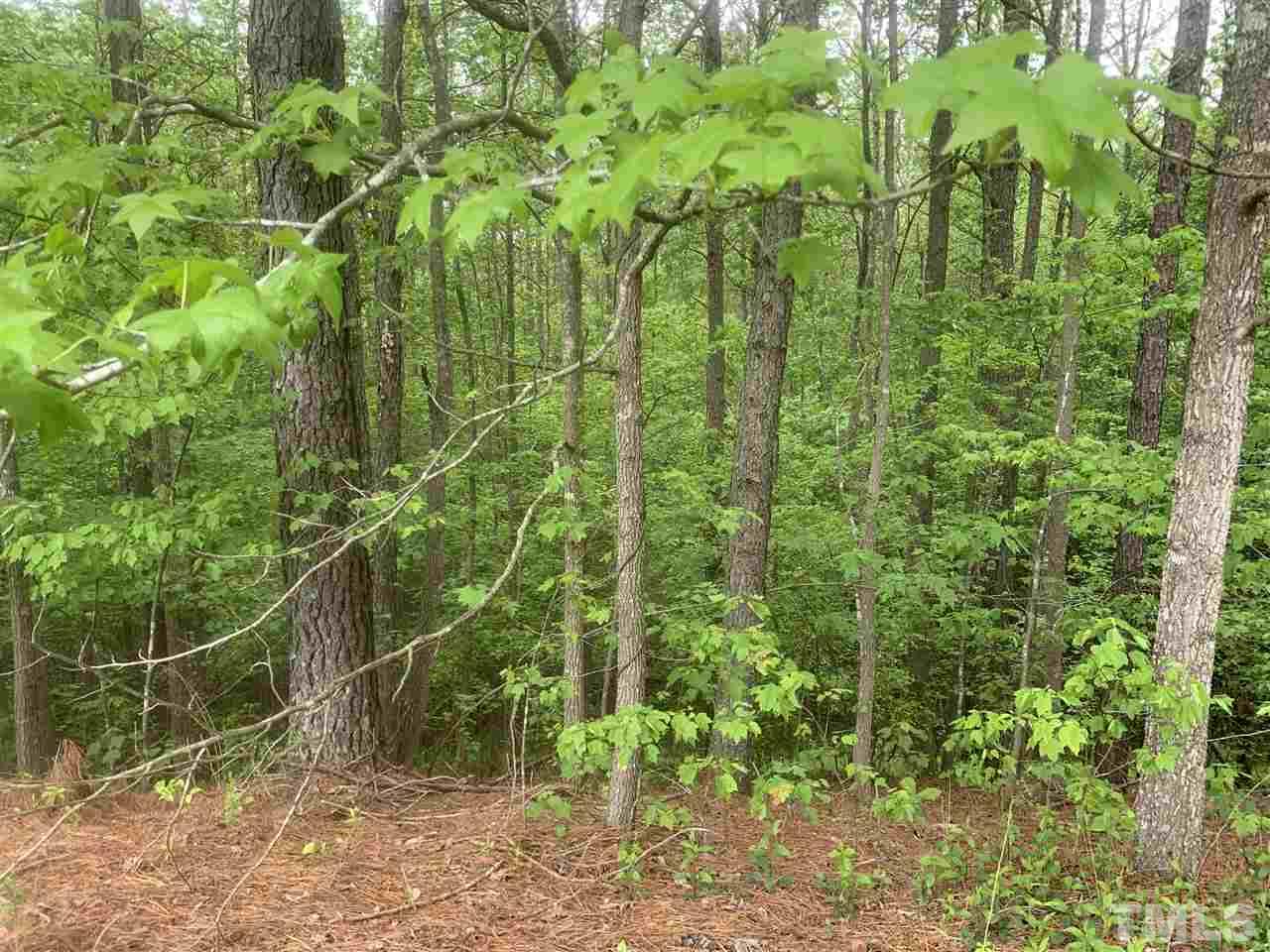 4670 Elevation Road Benson, NC 27504 - Photo 2 of 9 Gallery Image 2