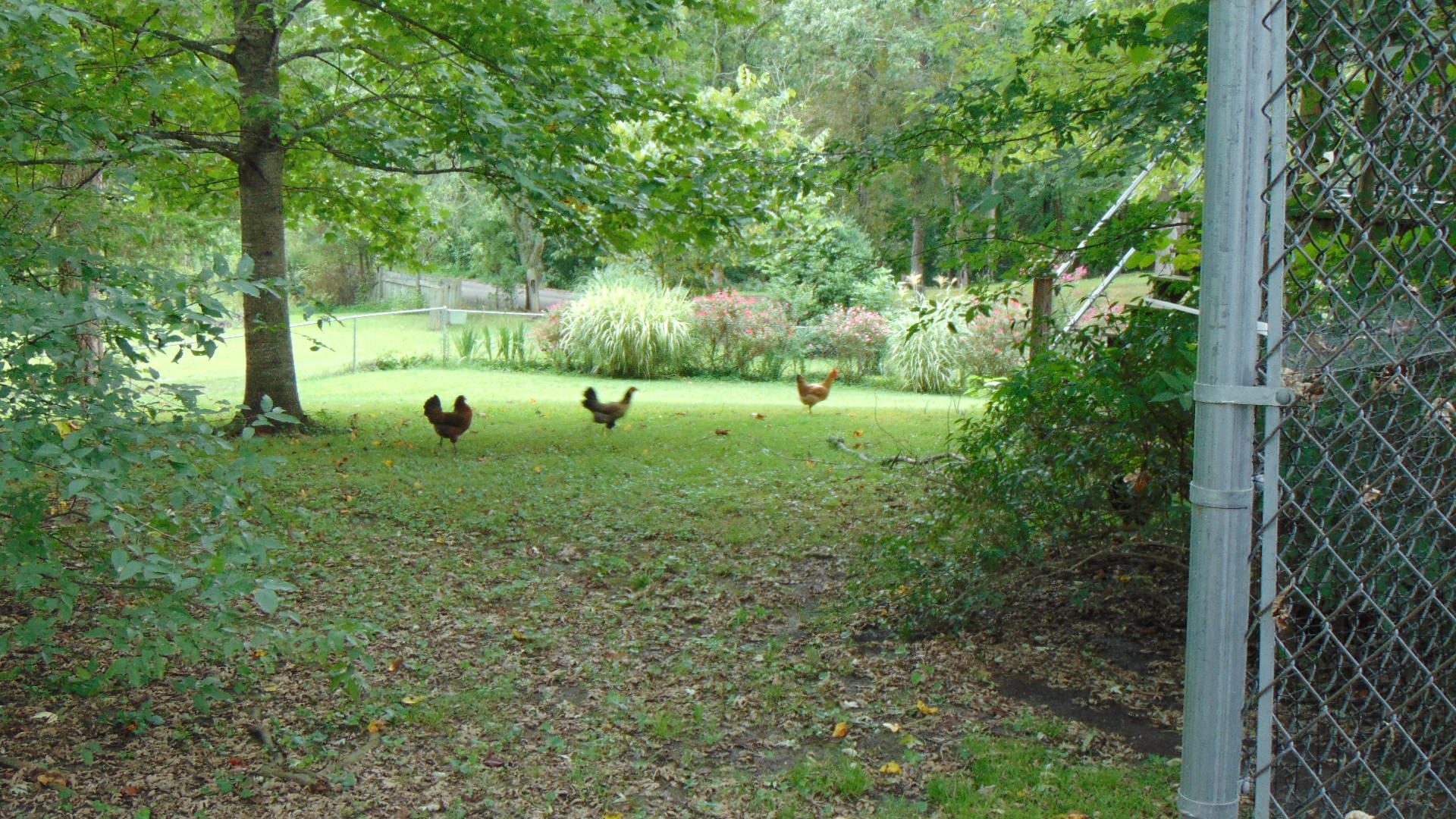 1356 Sim Goodwin Road McDonald, TN 37353 - Photo 20 of 36 010