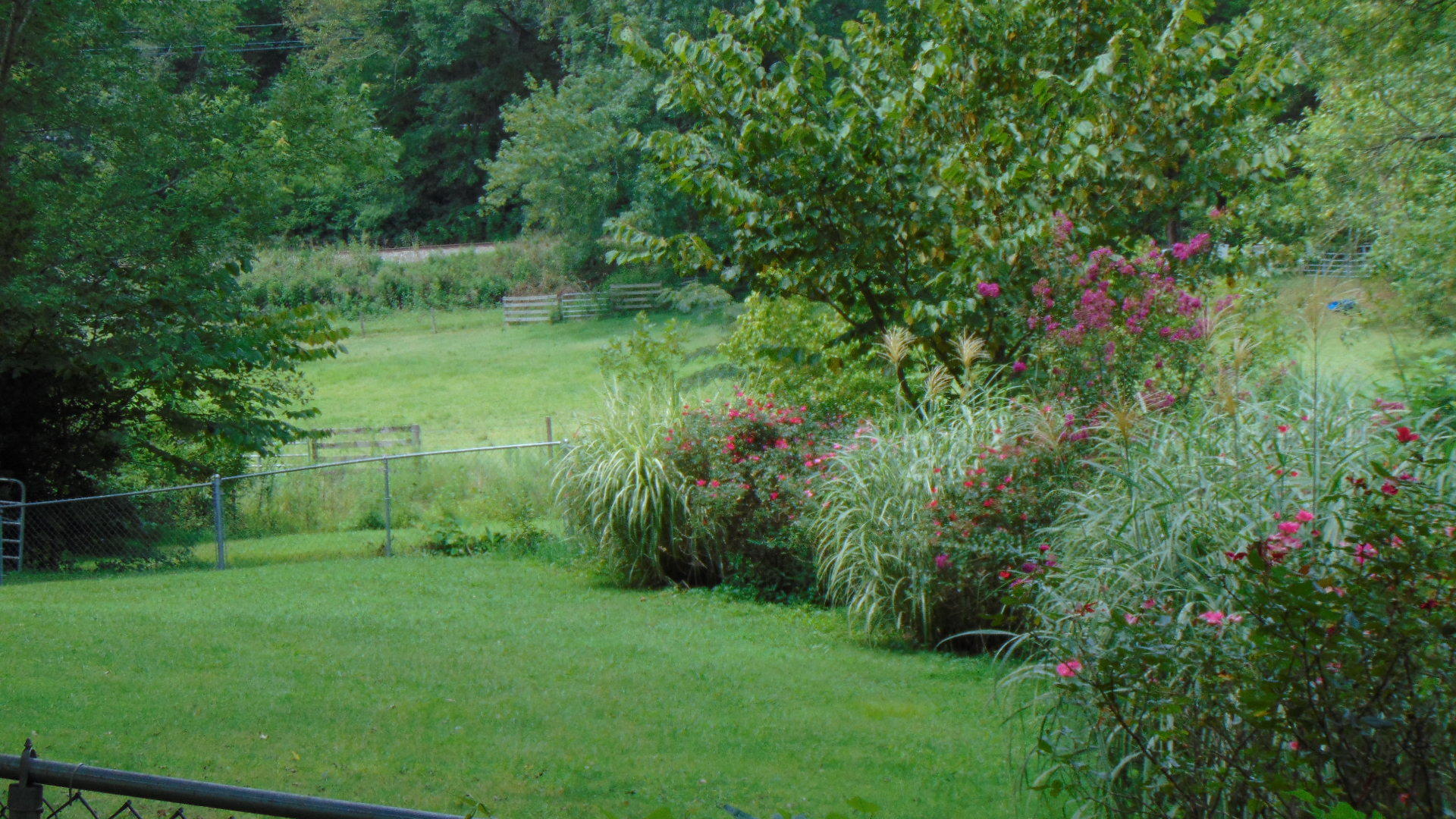 1356 Sim Goodwin Road McDonald, TN 37353 - Photo 27 of 36 017