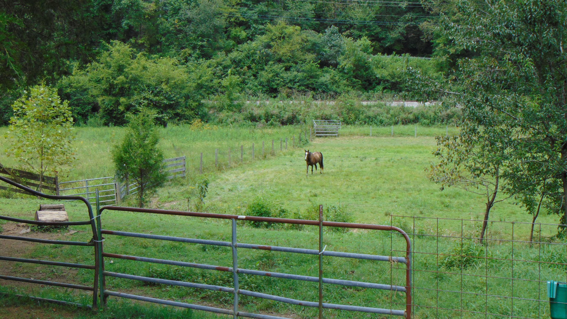 1356 Sim Goodwin Road McDonald, TN 37353 - Photo 35 of 36 020
