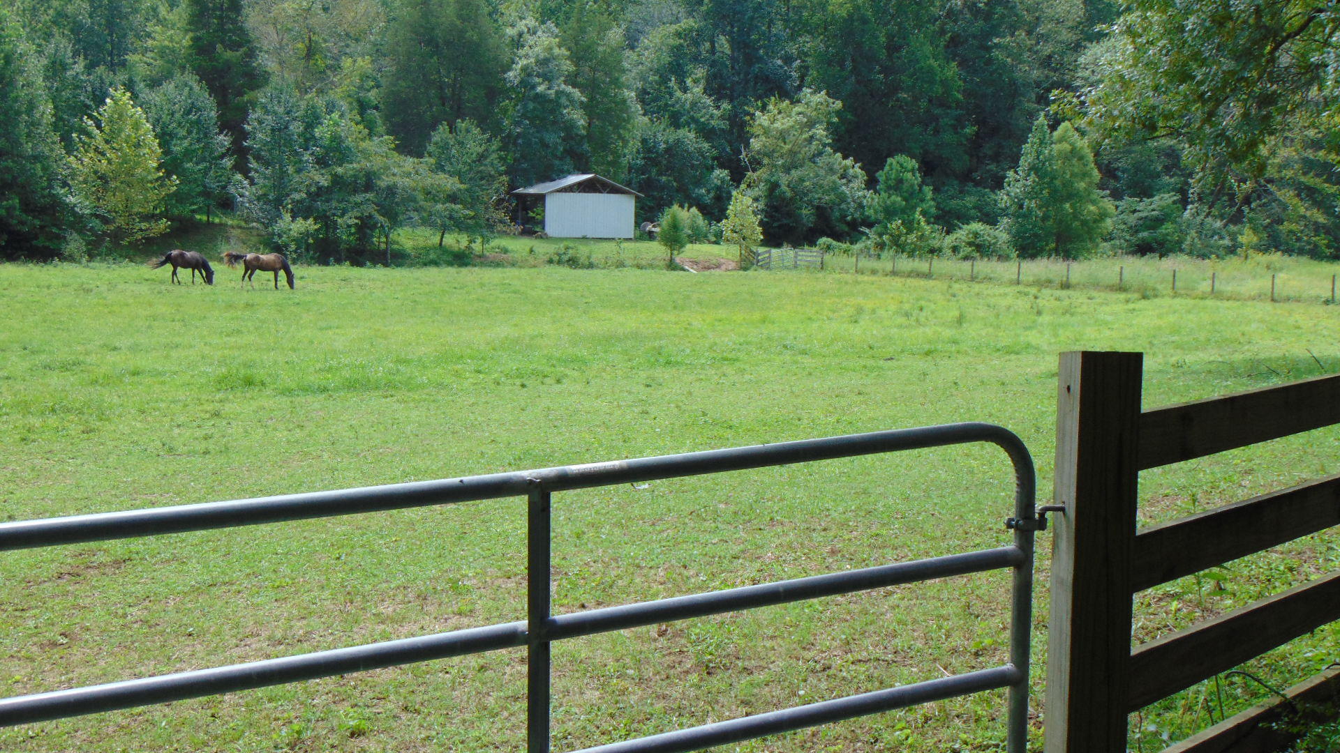 1356 Sim Goodwin Road McDonald, TN 37353 - Photo 36 of 36 015