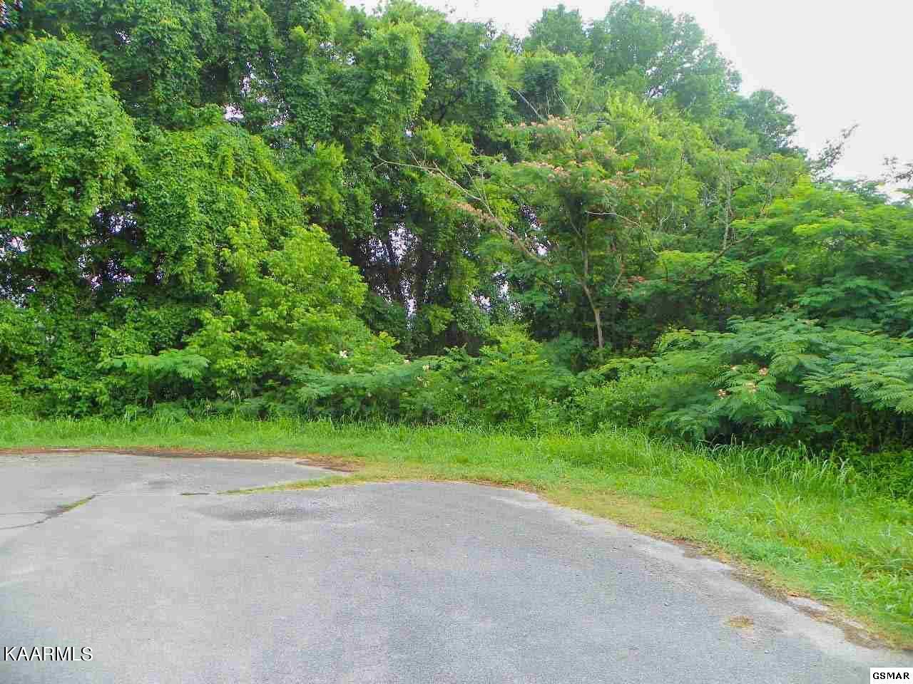 Lot 28 River Bank Road Pigeon Forge, TN 37863 - Photo 1 of 9 1 Main