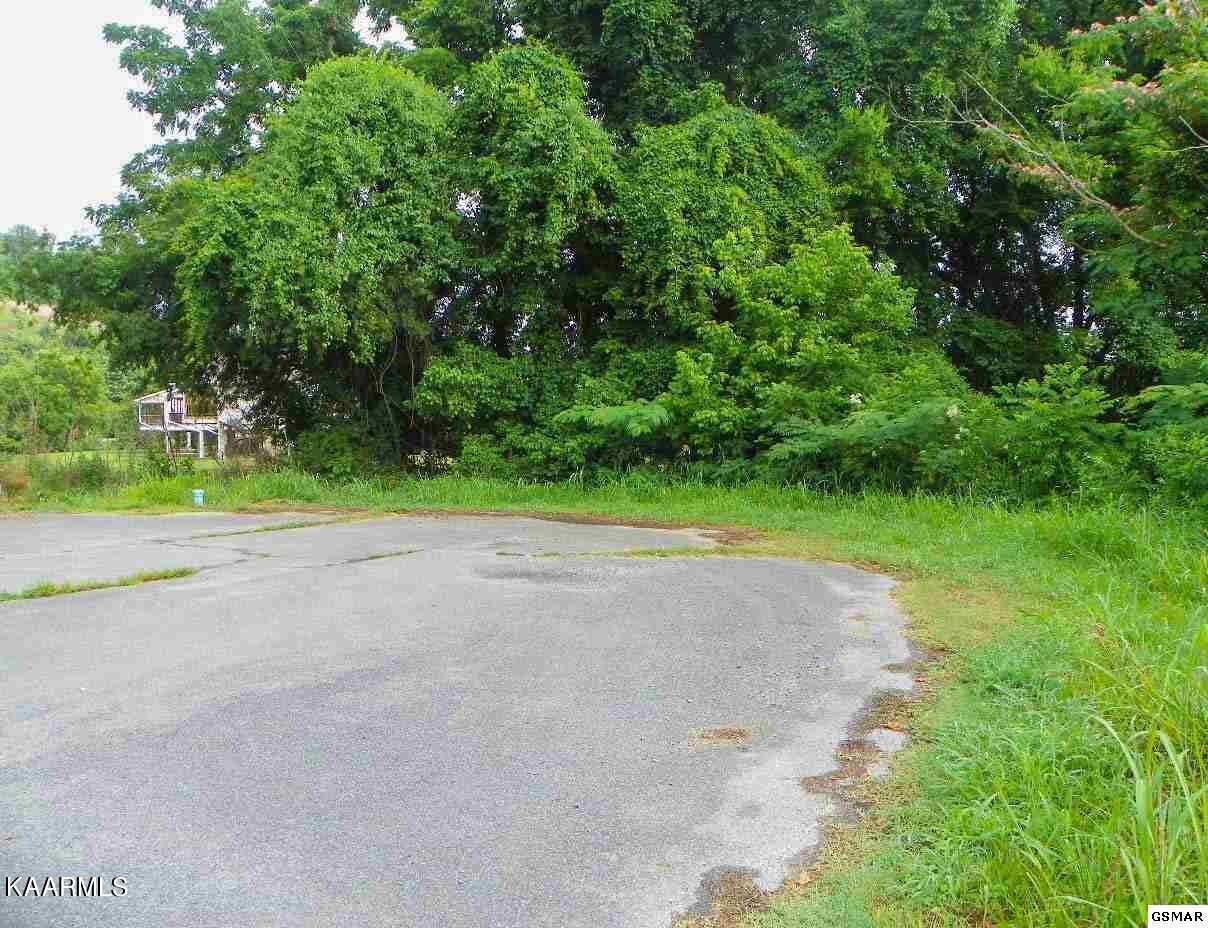Lot 28 River Bank Road Pigeon Forge, TN 37863 - Photo 2 of 9 2