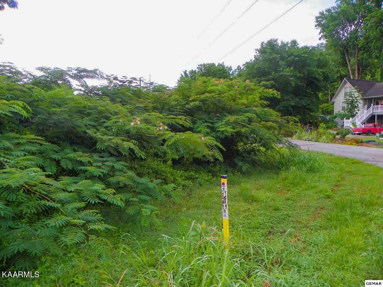 Lot 28 River Bank Road Pigeon Forge, TN 37863 - Photo 3 of 9 3