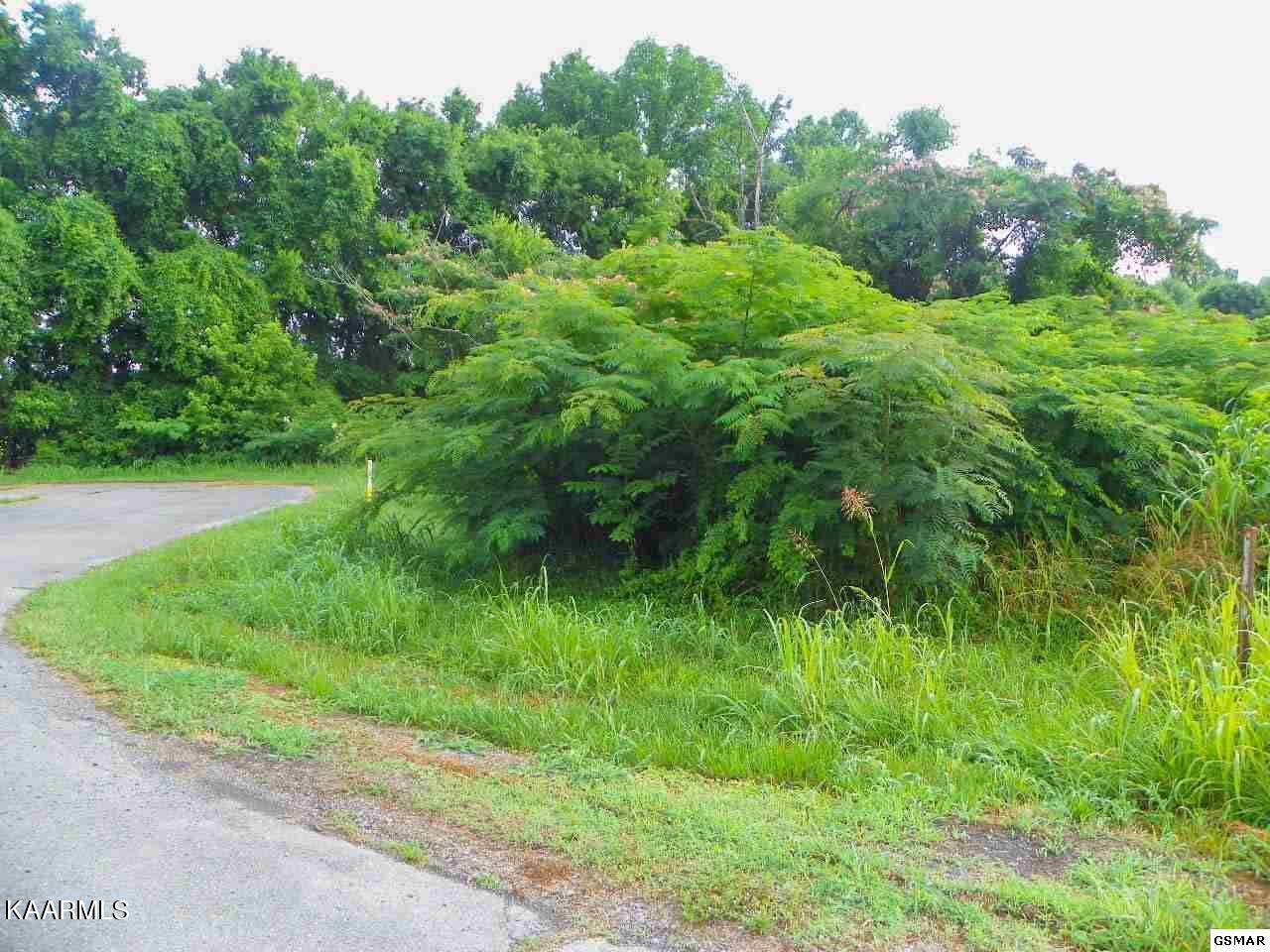 Lot 28 River Bank Road Pigeon Forge, TN 37863 - Photo 4 of 9 4