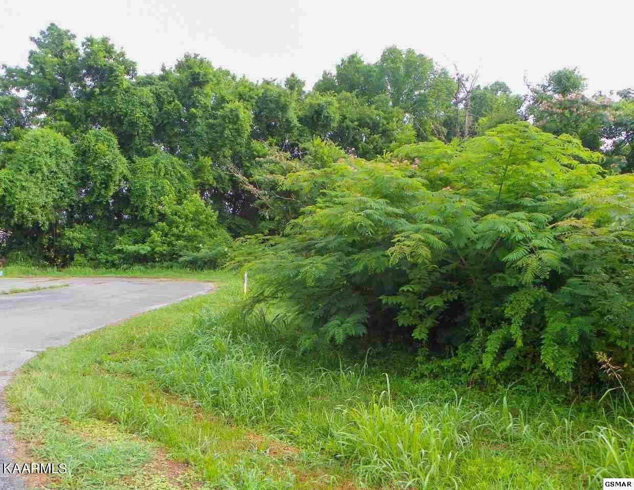 Lot 28 River Bank Road Pigeon Forge, TN 37863 - Photo 6 of 9 6