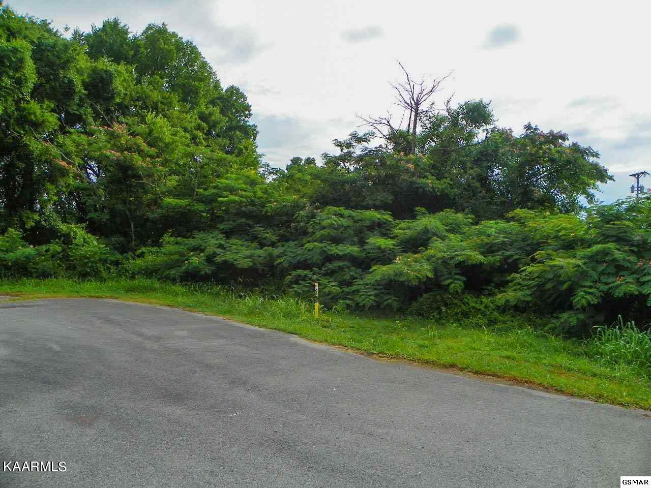 Lot 28 River Bank Road Pigeon Forge, TN 37863 - Photo 7 of 9 7