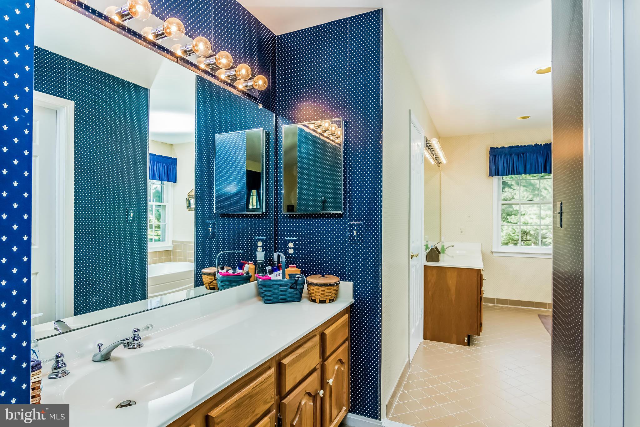 8209 Dry Ridge Road Montgomery Village, MD 20886 - Photo 17 of 30 Bath (Master)