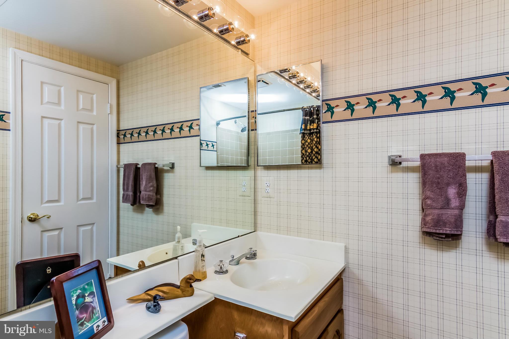 8209 Dry Ridge Road Montgomery Village, MD 20886 - Photo 23 of 30 Bath