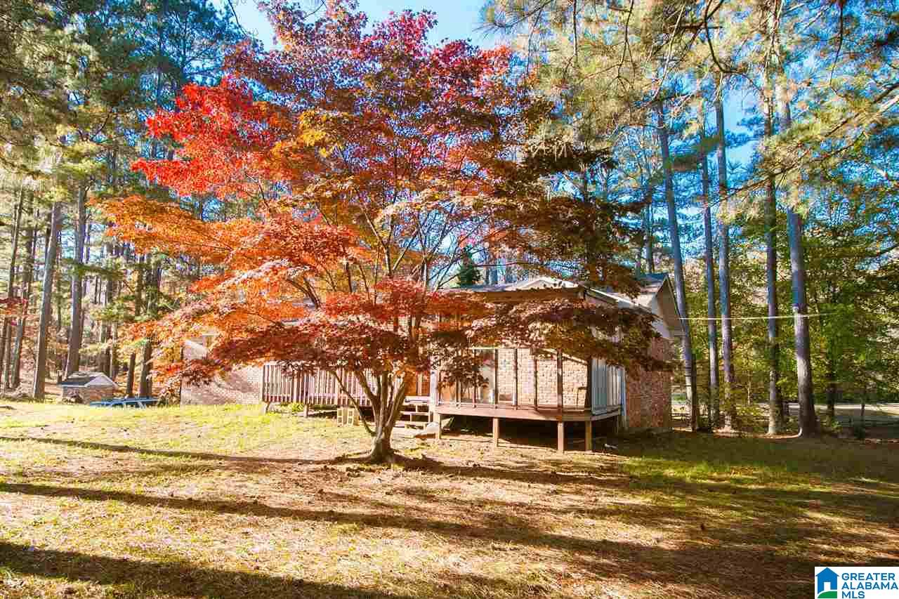 6575 Service Road Trussville, AL 35173 - Photo 12 of 36