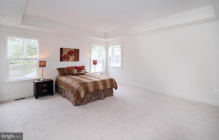 12836 Stone Eagle Road Phoenix, MD 21131 - Photo 13 of 25 Bedroom (Master)