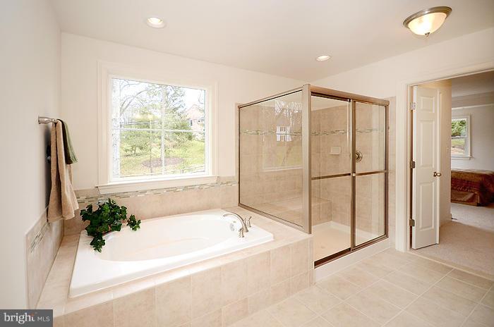 12836 Stone Eagle Road Phoenix, MD 21131 - Photo 15 of 25 Bath (Master)
