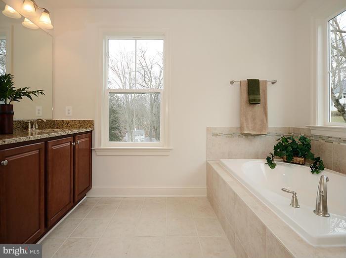 12836 Stone Eagle Road Phoenix, MD 21131 - Photo 17 of 25 Bath (Master)