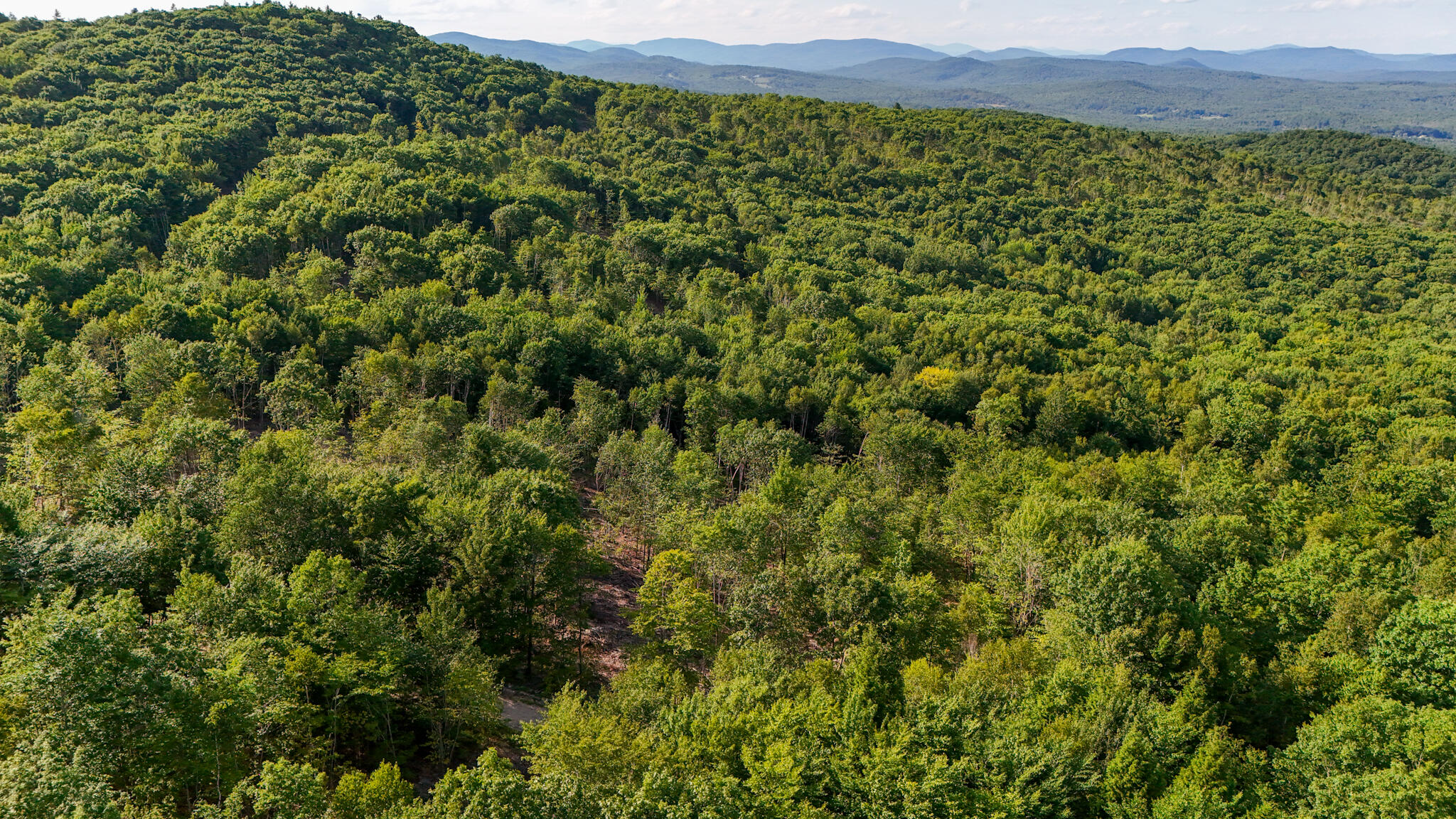 54.62 McAlister Road Buckfield, ME 04220 - Photo 58 of 80 dji_fly_20240718_172446_0123_17213511761