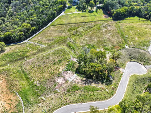 a view of a swimming pool with a yard and plants