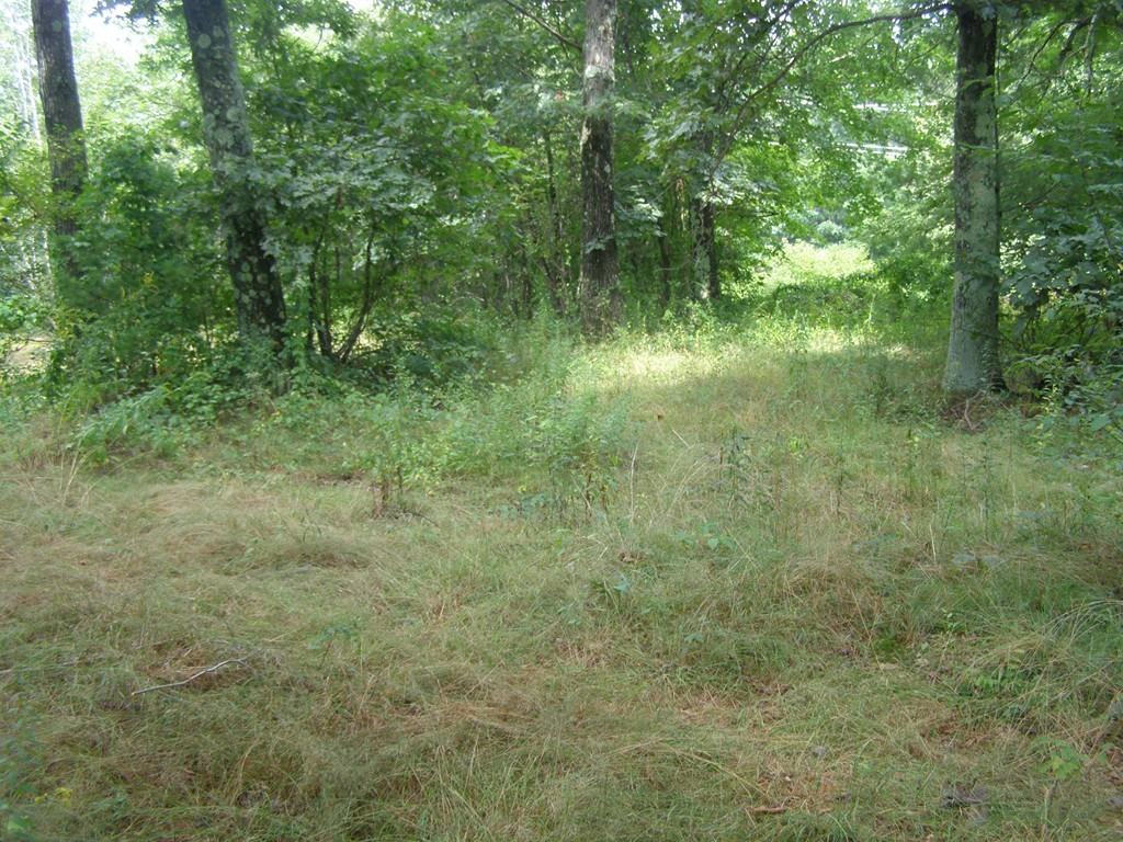 0 Stebbins Road Monson, MA 01057 - Photo 4 of 5 Gallery Image 4