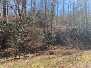 Tbd Lincoln Road, Unit 3 Galax, VA 24333 - Photo 27 of 64 Gallery Image 27