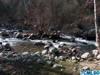 River View