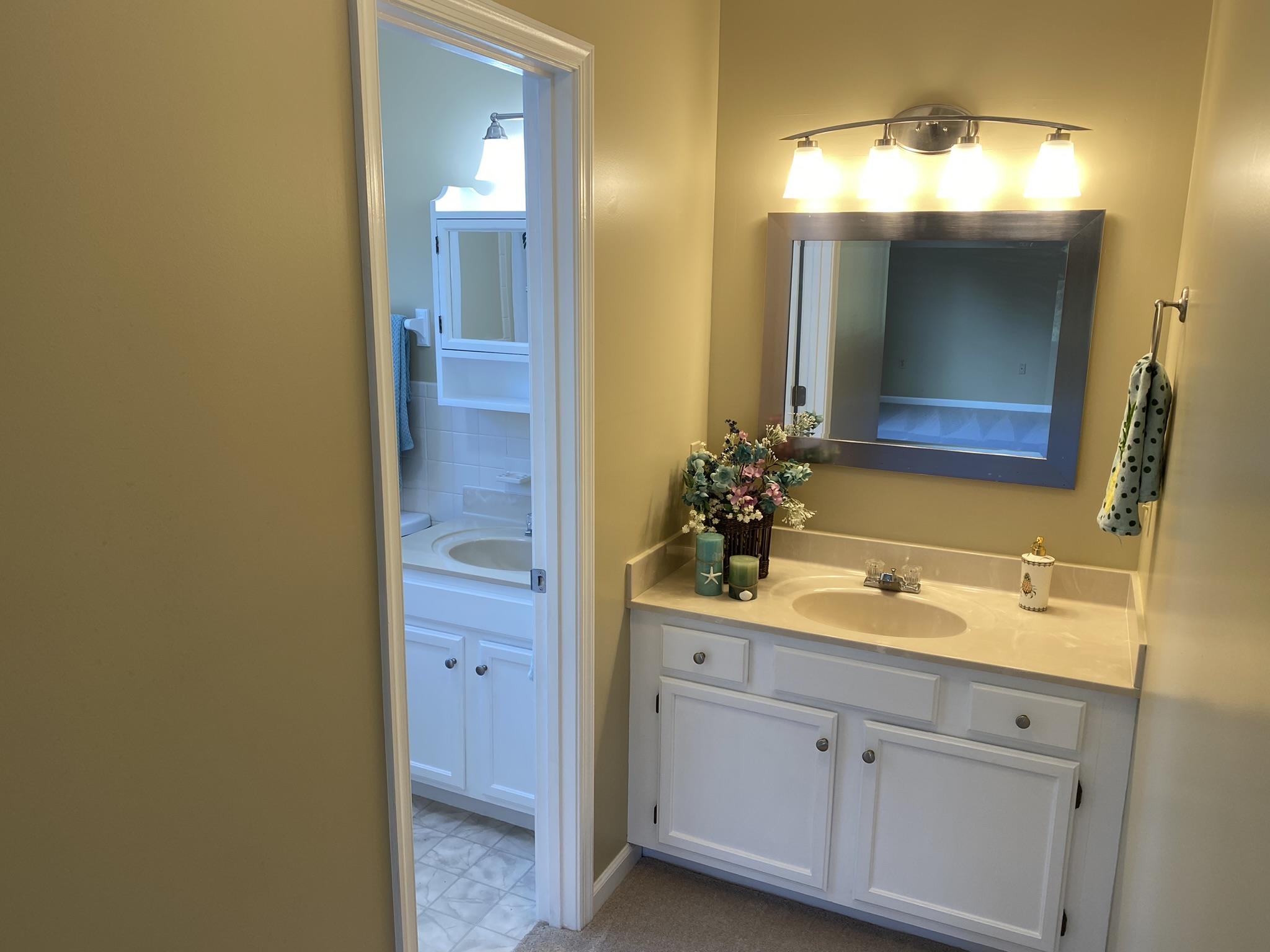 611 Stover Shop Road Churchville, VA 24421 - Photo 37 of 71 a bathroom with a sink and a mirror