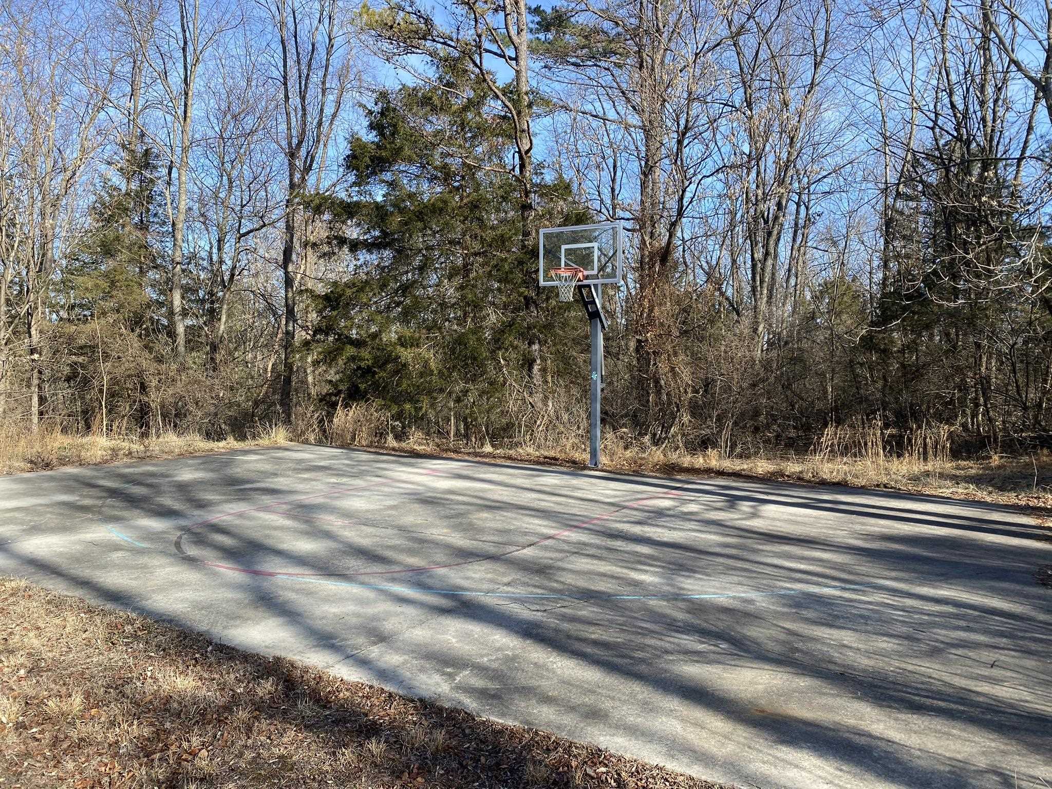 611 Stover Shop Road Churchville, VA 24421 - Photo 66 of 71 a view of road and trees